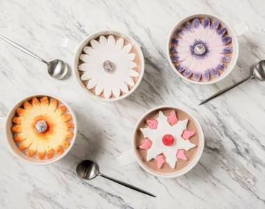 《綻放的棉花糖》讓你在冷冷的冬天也可以看見棉花糖花的美