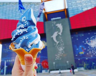 大阪海游館推出《鯨鯊冰淇淋》一口吃進海洋的味道