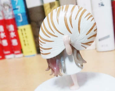 《貝殼少女轉蛋》可愛又有點古怪的設計讓人愛不釋手