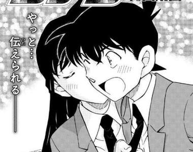 名偵探柯南《終於得到官方承認小蘭是新一的女朋友》啊啊~甜到蛀牙了啦(灑花)