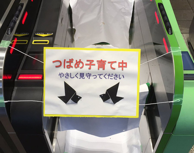 《為了燕子窩封閉閘門票口》日本車站的糾～感心神對應