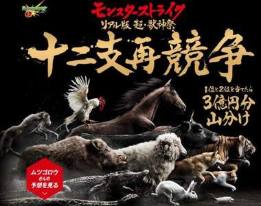 貓咪也參戰《12生肖再度對決》這次誰會跑最快?