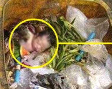 《10年前流浪漢在垃圾桶發現女嬰》10年後這故事依舊惹哭一票網友