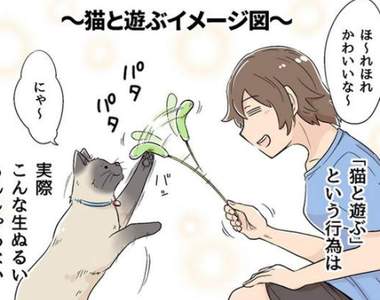 《其實跟貓玩耍會很累》網友用四格漫畫表現出當中的辛酸QQ