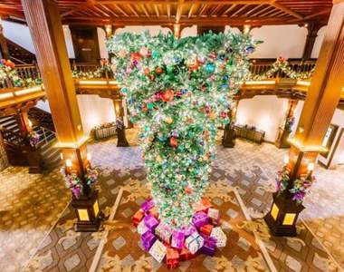 《顛倒聖誕樹》大流行 沒想到倒掛聖誕樹還有這些意外的好處