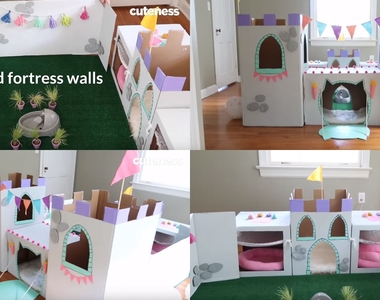 《製作帝寶級貓屋》喵的為了主子什麼事都幹了~♥