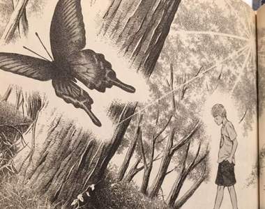 漫畫家《きたがわ翔》手繪效果線交織出栩栩如生的美麗畫作