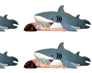 想睡就睡的《鯊魚睡袋》啊不就是個命案現場嗎