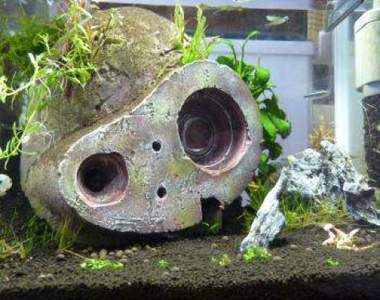 《吉卜力水族箱》弄個特色魚缸天天看超療癒❤❤❤