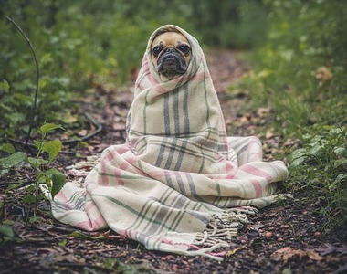 《12星座冬春養生法》溫暖的季節快點來吧...（抖）