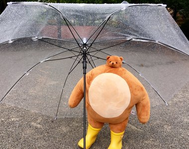 小頭動物布偶《Tiny Headed Kingdom》不成比例的小小頭魅力