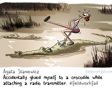 研究者《令人崩潰的田野調查失誤》不小心就把化石吞下去了......