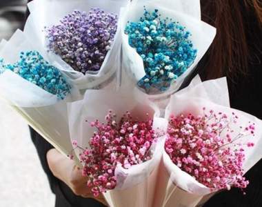 即時窺探《韓國情人節送什麼》最後一個送OO太狂啦~