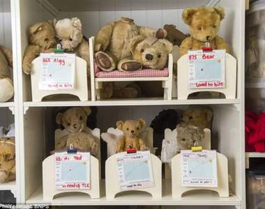 暖(●`・(エ)・´●)心《英國泰迪熊醫院》治療陪你長大的熊熊好夥伴