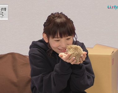 聲優南條愛乃《把玩刺蝟賣萌全記錄》33歲的少女到底是……
