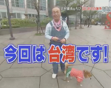 祕密攝影揭曉《志村健與Chibi遊台灣》狗狗不怕臭豆腐園長卻很怕……