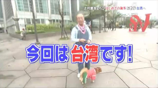 祕密攝影揭曉 志村健與chibi遊台灣 狗狗不怕臭豆腐園長卻很怕