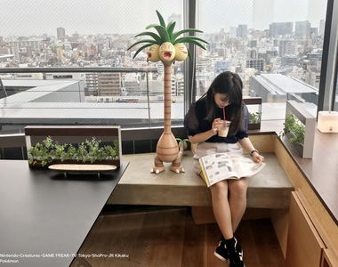 精靈寶可夢《椰蛋樹模型》太陽/月亮長脖子版 一公尺高的模型要放哪裡?