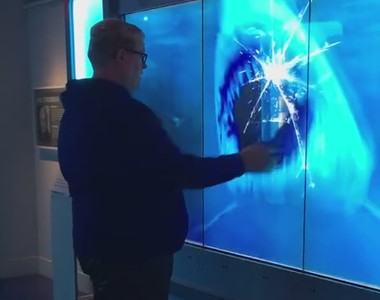 《突如其來的鯊魚》水族館放這個機關真是太壞惹XD