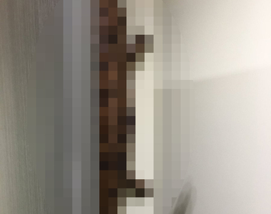 失禁注意《水族館廁所出現驚人生物》關門想不被嚇到都很難啊...