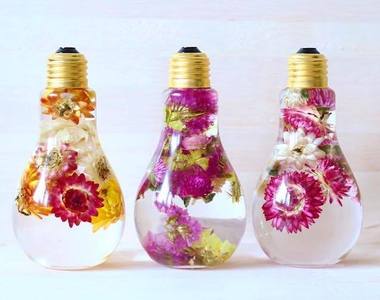 賞心悅目《燈泡瓶中花》也讓心情跟著朵朵開