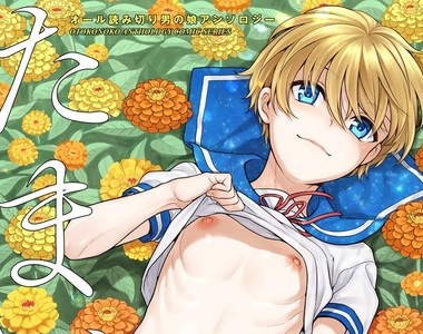 被認證不健全圖書《偽娘漫畫合集》反而更引起讀者的好奇心…