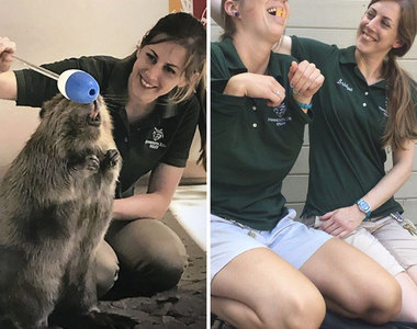 《當動物園管理員沒事做的時候》真的只有動物園才玩得起欸www