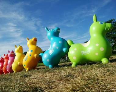 北海道《跳跳馬Rody牧場》遊客小朋友自行整理的排列方式引發話題