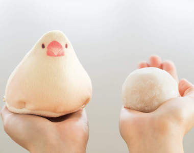 鳥奴必見《文鳥收納袋》完全再現肚子貼地的大福狀態（圓）