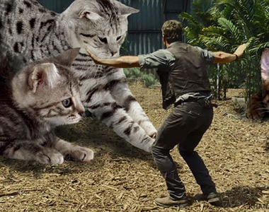 《喵羅紀公園》如果用貓咪替換侏羅紀公園裡的恐龍...