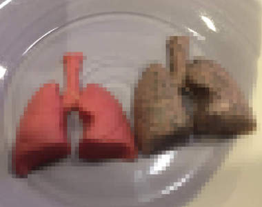 《超狂情人節巧克力》健康的肺＆吸菸者的肺告白同時還可以勸戒菸喔ww