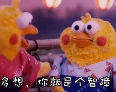 難過的時候需要《鸚鵡兄弟》給你滿滿的負能量