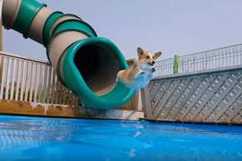 短腿也可以玩《市中心蓋出300公尺超長滑水道》你敢挑戰嗎