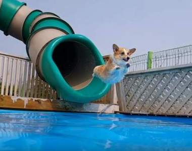 短腿也可以玩《市中心蓋出300公尺超長滑水道》你敢挑戰嗎