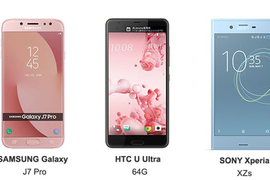 史上最精省！看看398能種出什麼花?！