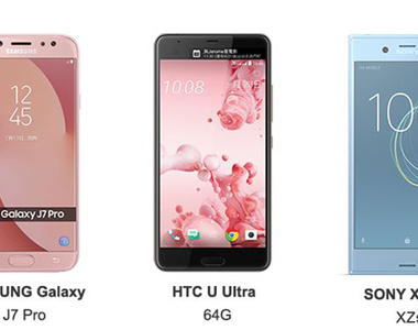 史上最精省！看看398能種出什麼花?！