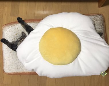 《貓咪三明治》吐司抱枕+貓咪=療癒新口味