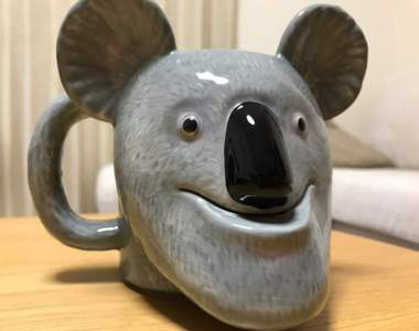《戽斗星球馬克杯》只有下巴進化的動物們讓你喝什麼噴什麼wwww