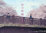 《我想吃掉你的胰臟》小栗旬×北川景子大螢幕初合演 《我想吃掉你的胰臟》小栗旬×北川景子大螢幕初合演