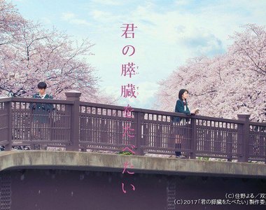 《我想吃掉你的胰臟》小栗旬×北川景子大螢幕初合演