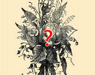 眼盲訓練？《大家來找碴》你能從畫面中找到幾張人臉