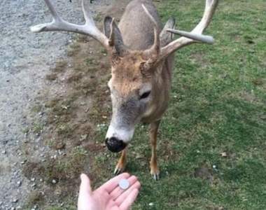 奇葩《照字面行事的蠢行》那個、大腦很好用請拿出來用（汗）