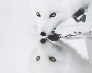 《冰島絕美景色》根本是出自奇幻小說裡的魔法國度