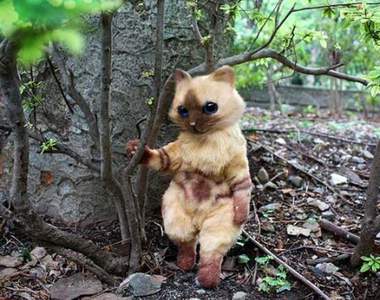 可愛破表《「魔物獵人」艾路貓超擬真玩偶》每隻都是獨一無二的唷