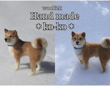 《羊毛氈柴犬》這逼真的程度 真的會懷疑難道不是活的嗎?