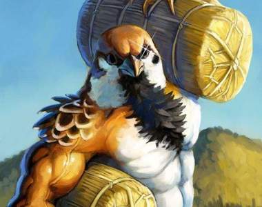 MAN過頭桌遊《男子漢動物園》動物卡片遊戲　每隻動物都是肌肉男ww