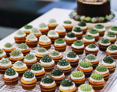 《多肉植物蛋糕》感覺每一口咬下去都會溢出水分♥