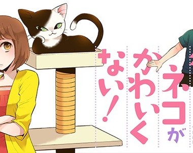 《男友的貓一點都不可愛！》人類想跟主子爭寵再等一百年…