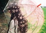 少女心《櫻花透明傘》撐個傘都要這麼詩情畫意嗎？可是我喜歡