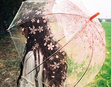 少女心《櫻花透明傘》撐個傘都要這麼詩情畫意嗎?可是我喜歡